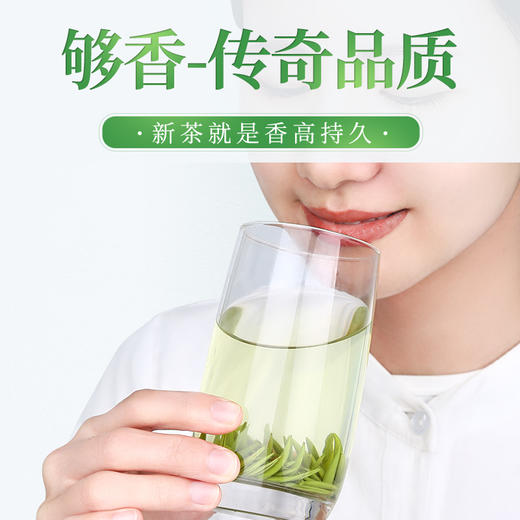 传奇会罐装雀舌 I 四川正宗嫩芽雀舌茶 绿茶明前春茶高山嫩芽茶罐装100g 商品图3