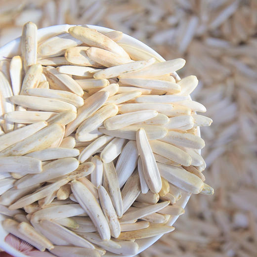 心疆果巴新疆阿克苏牙签马牙长粒大粒大白瓜子散装1000g葵原味花籽