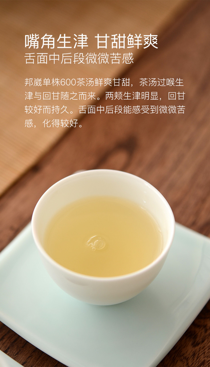 百花吟云南普洱茶生茶邦崴单株头春古树茶100克