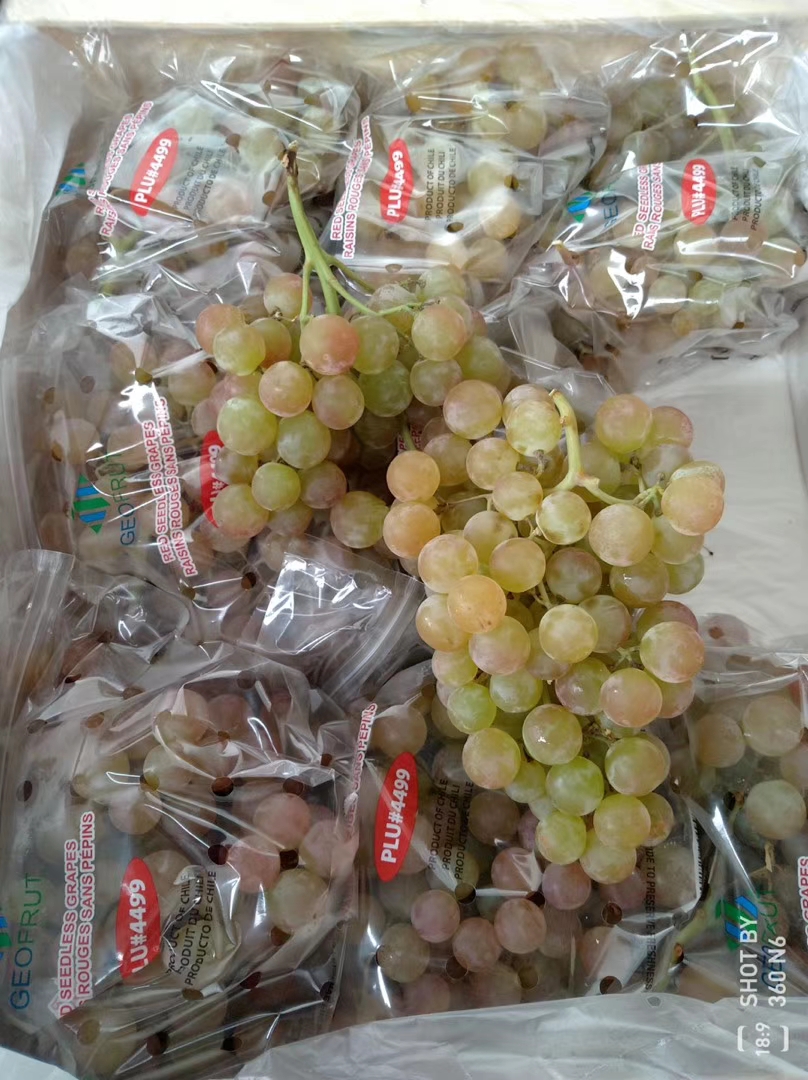 慕斯卡香水葡萄香甜多汁5斤10斤包邮广西