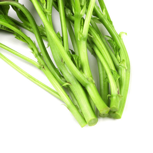 朴愿有机农场 有机冬苋菜 冬寒菜 肥美嫩滑的口感 400克 商品图9