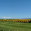 苏格兰皇家阿伯丁高尔夫俱乐部 Royal Aberdeen Golf Club(Balgownie)| 英国高尔夫球场 俱乐部 | 欧洲高尔夫| 苏格兰 商品缩略图7
