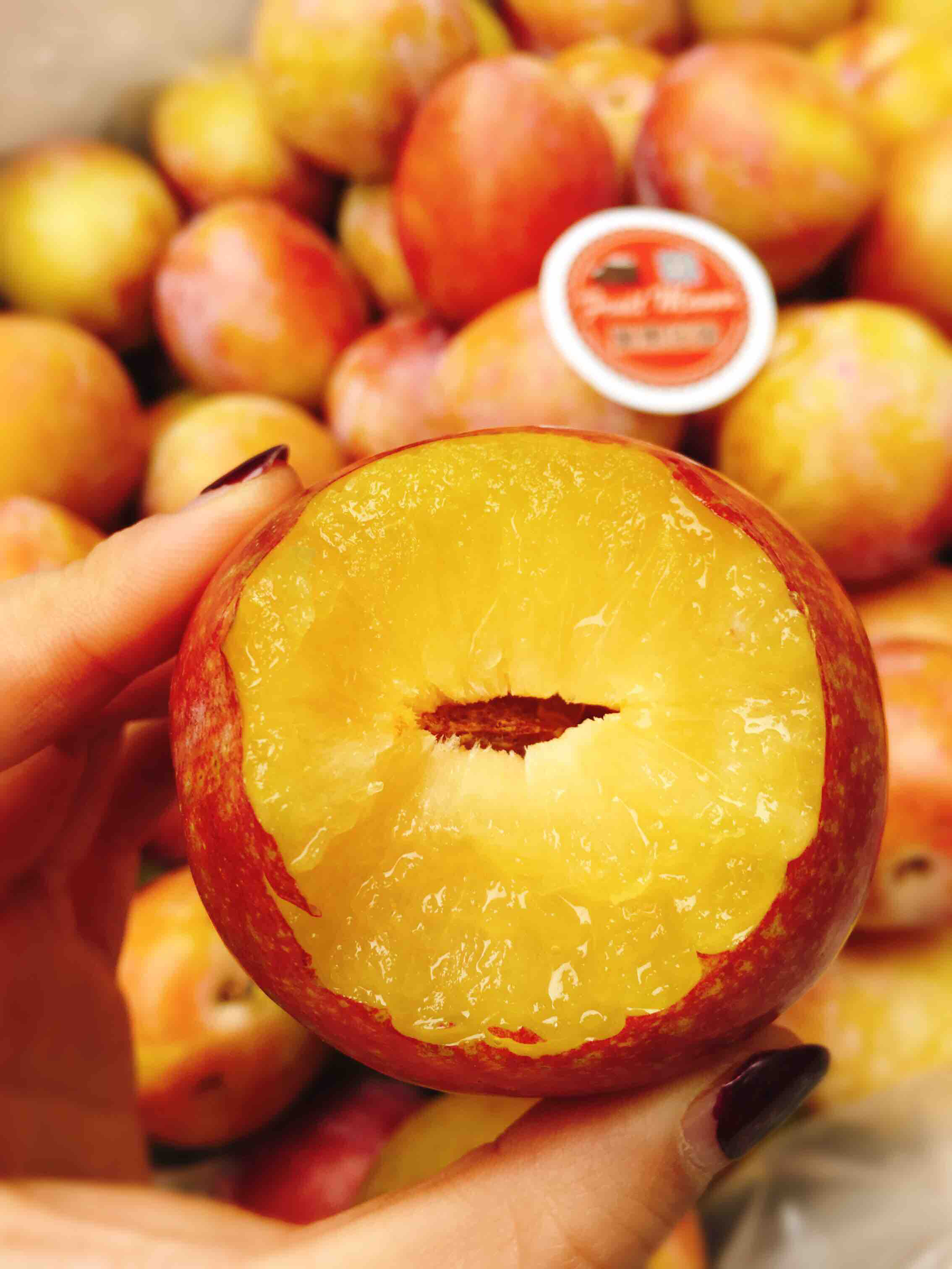 澳洲太阳李来自阳光的亲吻澳洲太阳李甜蜜上市