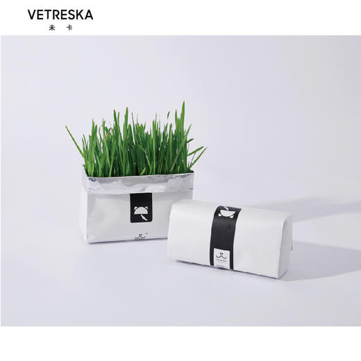 未卡vetreska 猫草种子无土壤水培去毛球小麦草锭猫薄荷零食用品 养宠优选