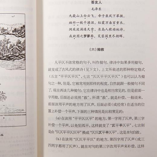 《王力经典套装》| 中国语言学大师之作，让你重新爱上汉语 商品图6