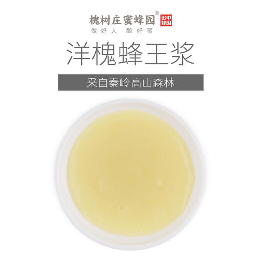 秦岭洋槐蜂王浆500g  采自秦岭洋槐春浆 高海拔深山浆源 自然纯净 商品图1