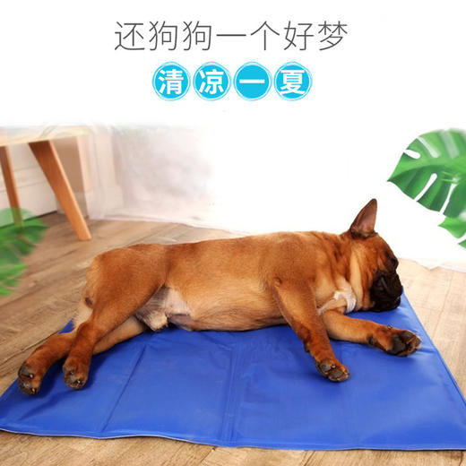 盒装冷凝胶冰垫胜过马卡宠物狗狗冰垫狗降温垫子凉垫凉席宠物用品 商品图1