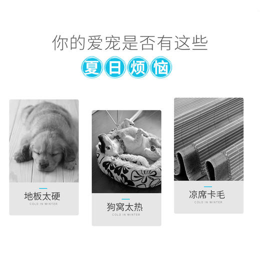 盒装冷凝胶冰垫胜过马卡宠物狗狗冰垫狗降温垫子凉垫凉席宠物用品 商品图3