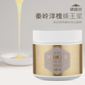 秦岭洋槐蜂王浆500g  采自秦岭洋槐春浆 高海拔深山浆源 自然纯净