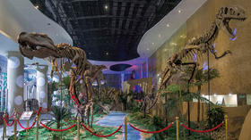 Zhucheng: Dinosaur City