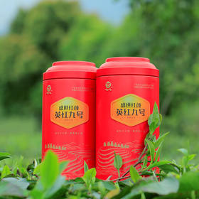 唯心盛世红颜 英红九号 英德红茶 无公害无农残无化肥  一芽二叶 罐装125g