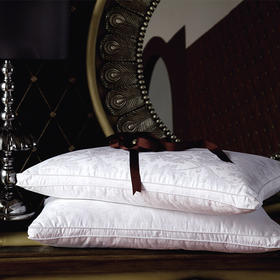 鑫缘高级桑蚕丝枕芯 L7426