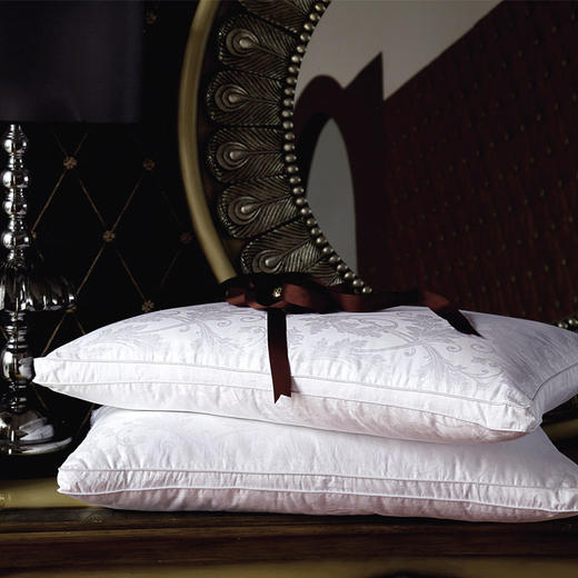 鑫缘高级桑蚕丝枕芯 L7426 商品图0