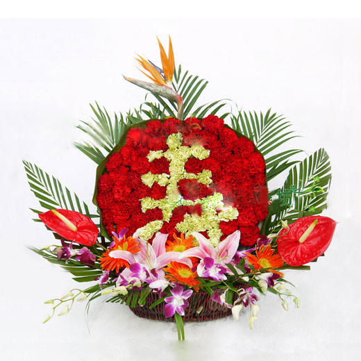 鲜花混搭红掌高档手提花篮送领导老师长辈节日生日开业祝福