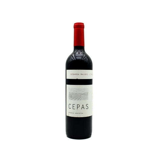 阿根廷原瓶进口红酒 赛佩斯博娜德马尔贝克红葡萄酒 Cepas Bonarda Malbec 单支装750ml 商品图1