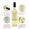 【双支特惠装】智利桑塔奥拉苏伟浓白葡萄酒 Santa Alvara Sauvignon Blanc 2014 750ml*2 商品缩略图3