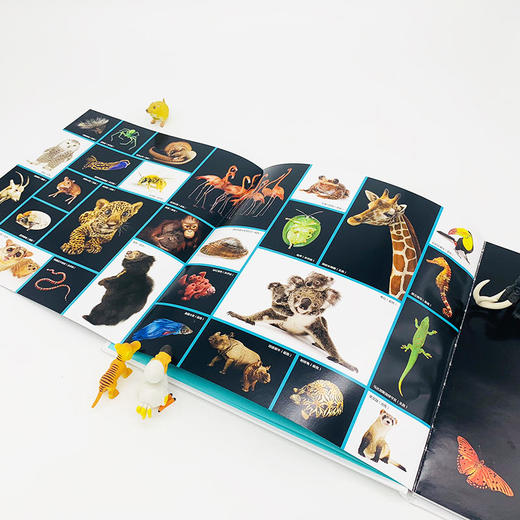 动物方舟——美国国家地理 商品图2