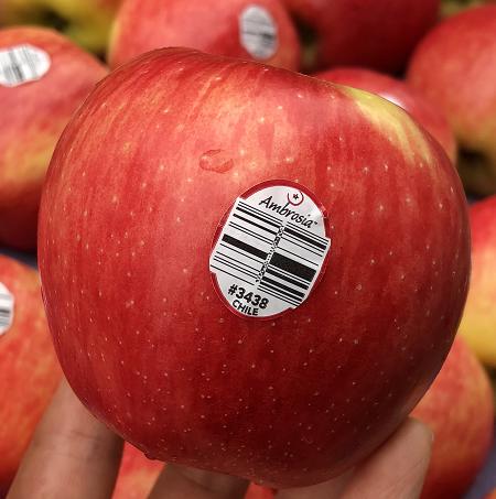 新西兰神仙苹果稀有品种红颜粉嫩鲜活脆嫩清新水分足10只