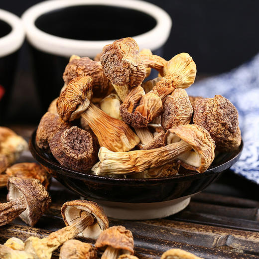 河南特产濮阳清丰兴建菌业蘑菇干 大球盖菇干货 100g