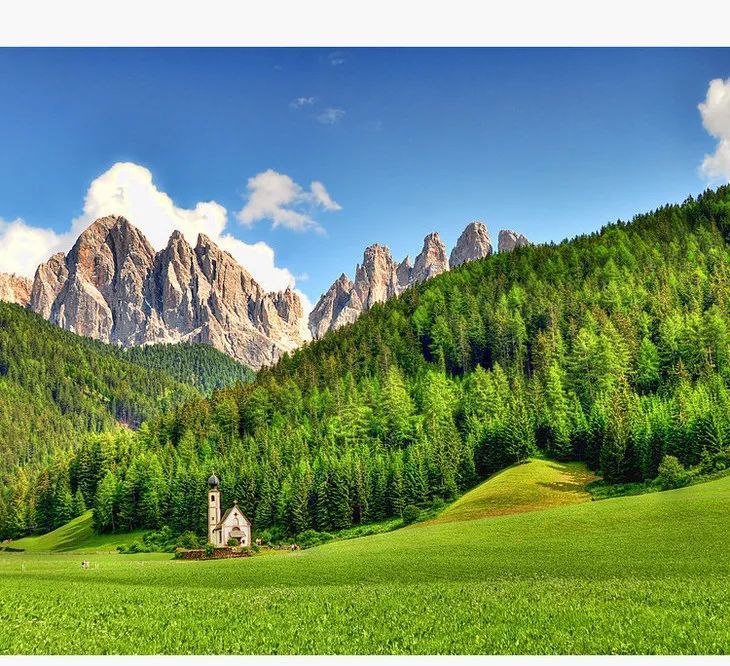 俄罗斯野生椴树蜜