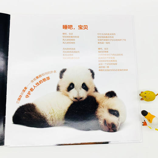 动物方舟——美国国家地理 商品图3