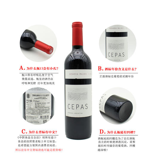 阿根廷原瓶进口红酒 赛佩斯博娜德马尔贝克红葡萄酒 Cepas Bonarda Malbec 单支装750ml 商品图4