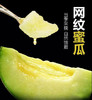顺丰包邮，洛嘉果园生态网纹瓜，生态方式种植甜度佳，香气足【现采摘发货】基地直邮 商品缩略图0