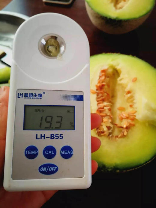 顺丰包邮，洛嘉果园生态网纹瓜，生态方式种植甜度佳，香气足【现采摘发货】基地直邮 商品图1