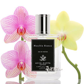 Acca Kappa Muschio Bianco 白苔 白麝香 浓香水EDP  小样/正装