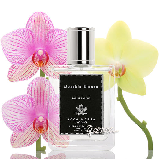 Acca Kappa Muschio Bianco 白苔 白麝香 浓香水EDP  小样/正装 商品图0