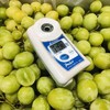 甜地球  脆甜 就是深水炸弹一样~青提中的上品【9斤】 商品缩略图2