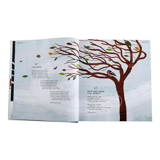 【中商原版】我是一颗小小的树种 经典自然诗歌四季集锦 I Am the Seed That Grew the Tree 精装 商品图3