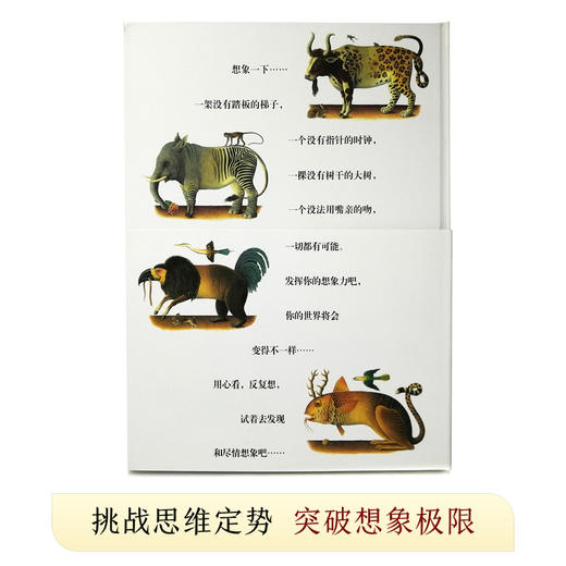 奇幻岛：jizhi艺术幻想创造书 3-6岁  商品图4