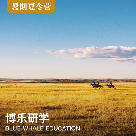 4天3晚 | 放手才是爱，熊孩子草原天路独立大冒险！ 商品图0