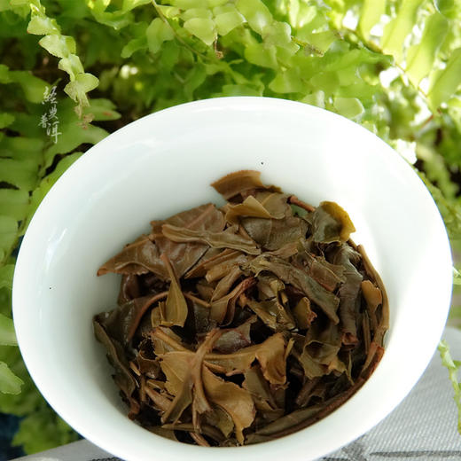 2013年玉韵雅月 高端古树普洱生茶 石昆牧老师定制系列 版纳茶区 商品图4