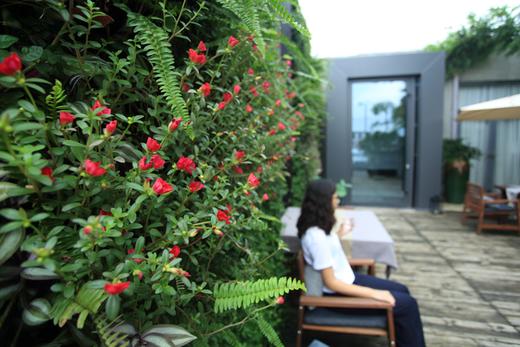 场地租赁 | 任太共享花园（深圳总部花园） 商品图0