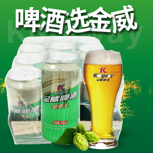 雪花金威啤酒 500ml*12听/包