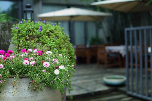 场地租赁 | 任太共享花园（深圳总部花园） 商品图1