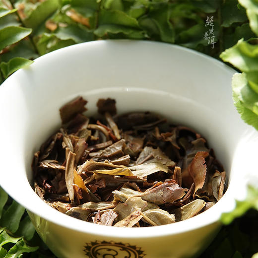 2013年天下云茶 优质普洱生茶 石昆牧老师定制系列 生态古树拼配 商品图3