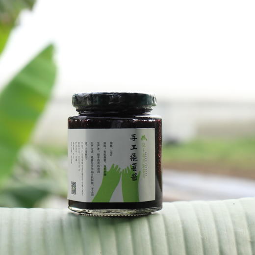 有机桑葚酱 | 绿家自产*Group purchase of Organic mulberry paste | Self-production 商品图0