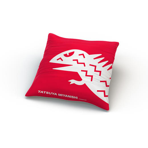 有赞抱枕 商品图0