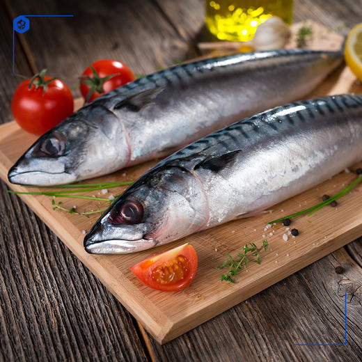 冰岛青花鱼|日料店热荐,简单一煎香嫩营养高