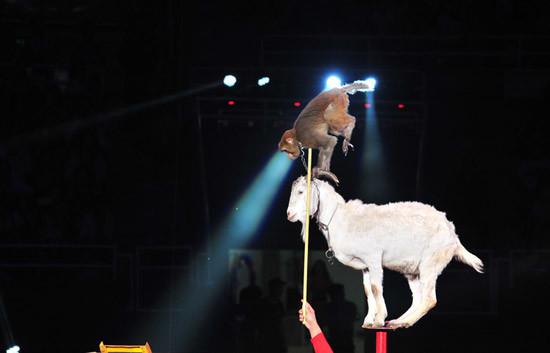 【现场取票】2019国际马戏小丑嘉年华《马戏之王》快乐六一·工体震撼