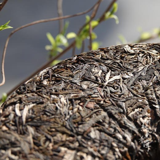 2018年云集 优质普洱生茶 石昆牧老师定制系列 生态茶 商品图1