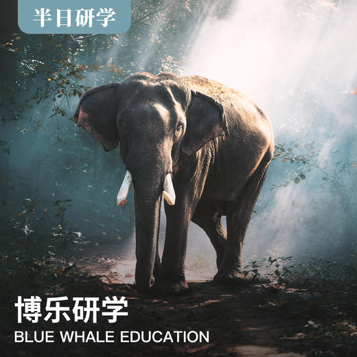 |《认识新朋友，动物世界的朋友圈》--博物馆系列 商品图0