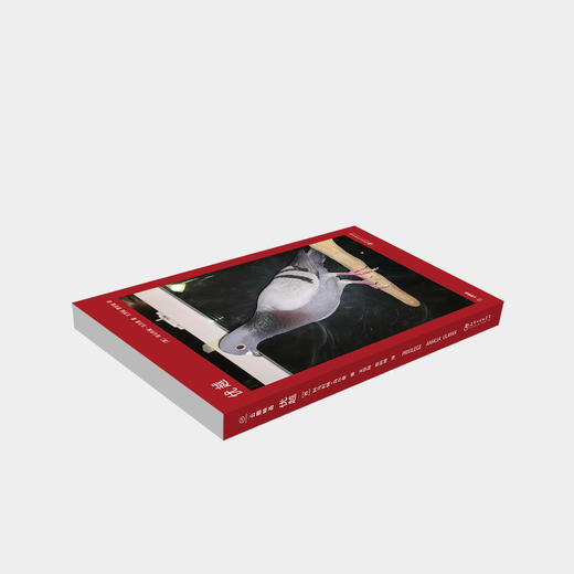 “网红”艺术家阿马利娅·乌尔曼 ：《优越》艺术书 商品图1