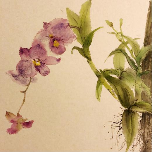 石斛花汪玉砚原作成品尺寸2919cm