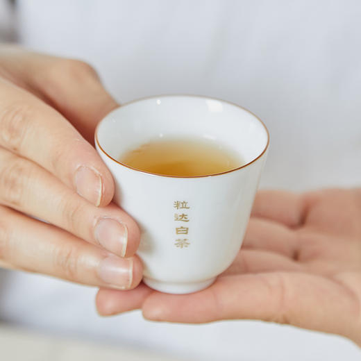 大家系列丨2010年 贡眉 顺意 160g（5g*32包） 商品图5