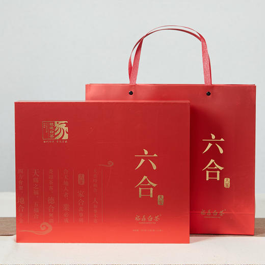 大家系列 丨2010年 白牡丹 六合 160g（5g*32包） 商品图0