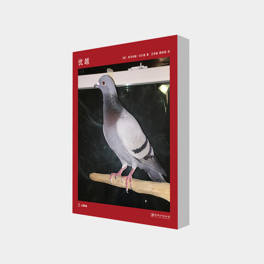 “网红”艺术家阿马利娅·乌尔曼 ：《优越》艺术书 商品图0